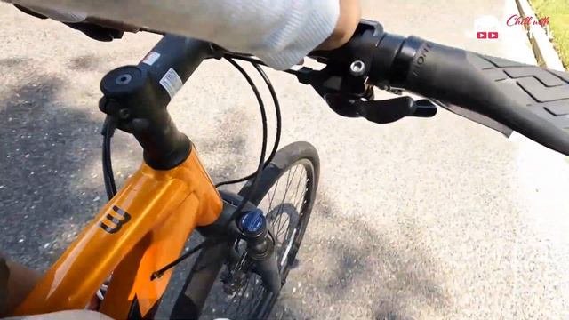 Summer Rita Ice Cream In Bicycle