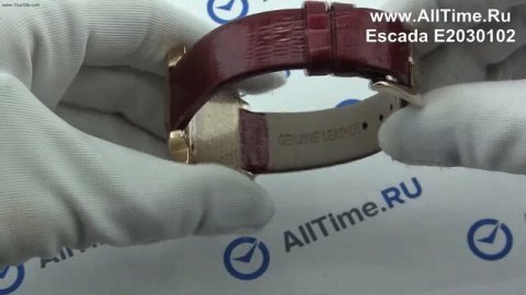 Обзор. Женские наручные часы Escada E2030102