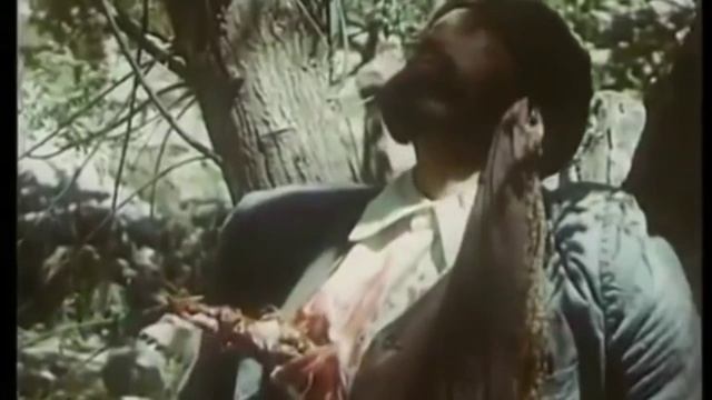 video_3458049840566.mp4