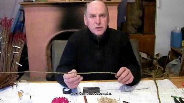 Зимняя прививка плодовых деревьев