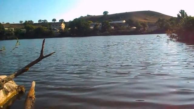Звуки озера и пение лягушек.Отдых на природе