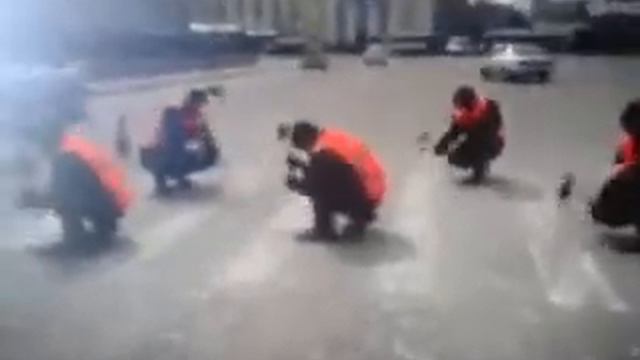 дерево 056