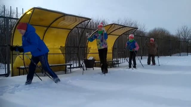 01.03.18 Дневная тренировка  Нарезаем лыжню