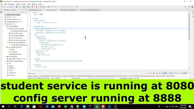 Spring Cloud Config client  centralized configuration  microservice tutorial P-14