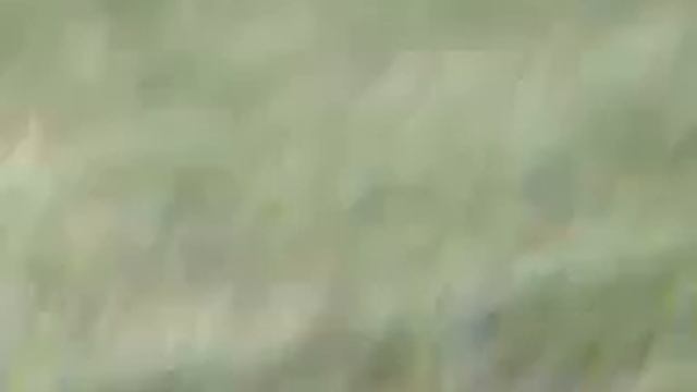 Проиграли футбол кувырки по полю