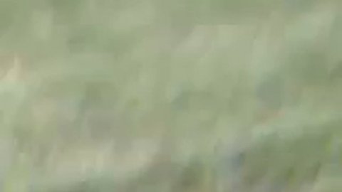 Проиграли футбол кувырки по полю