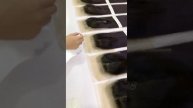 Closures hair by Bibo Hair Vietnam +84828210888 #wefthair #hairfactory #wigshop #hairshop #hairwig