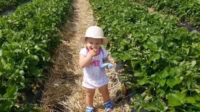 Кулинарный VLOG:сырный суп,клубничный джем,вареники.Посылка из магазина Manor. 06.06.18