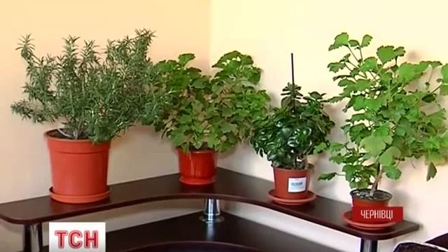 1+1 «Розумний дім» Интервью