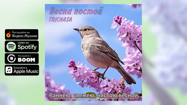 TRICHASA — Весна постой