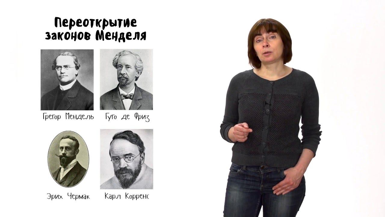 Эволюция - 3. Синтетическая теория эволюции - часть 1. 10 - 11 класс