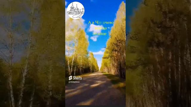 Что БУДЕТ ТАМ_ В ВЕЧНОСТИ...Старец.Творческая студия ютуб канал #shorts