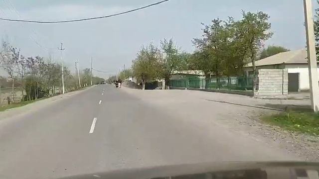 хамадони дружба