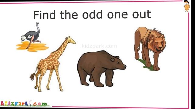 Kids IQ | General Knowledge Questions| Educational Video for Kids | Part 1