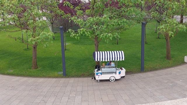 Утренняя прогулка под щебет птиц