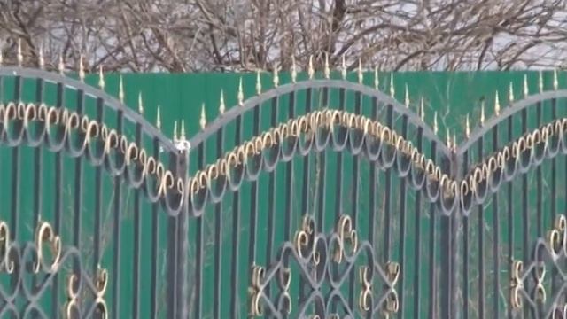 "Орнамент" Мастер сварки Айнур Хисамов