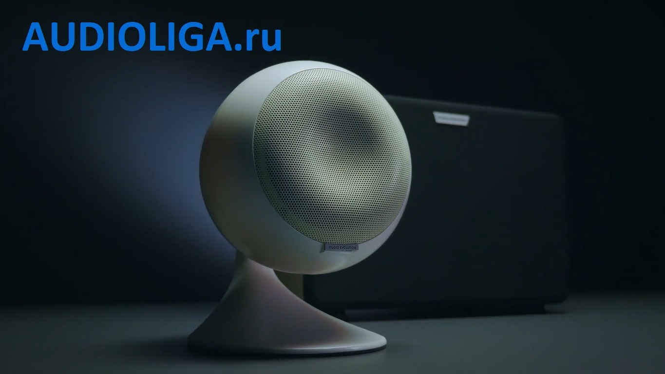 Колонки для караоке Evosound Sphere от AUDIOLIGA.ru