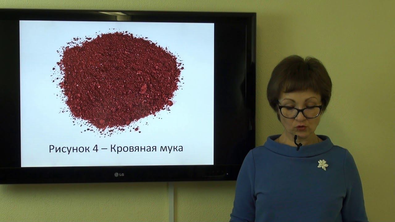 Естественная пища рыб Часть 1 Корма для рыб Часть 2