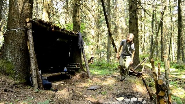 БУШКРАФТ .ОБУСТРОЙСТВО ЛАГЕРЯ В ЛЕСУ .ЛЕСНОЕ УКРЫТИЕ    Ч.2  / Bushcraft. Forest shelter