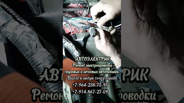 Услуги авто электрика в г. Магадан