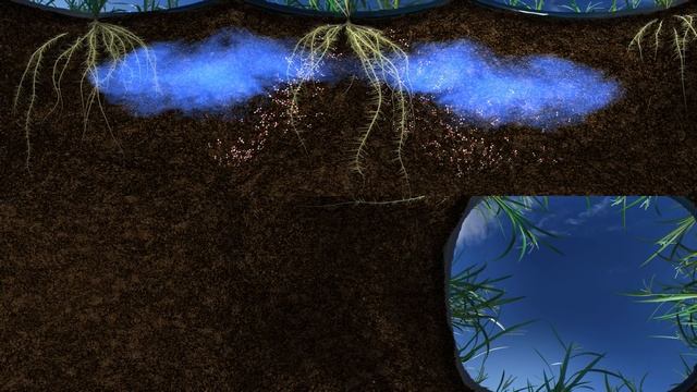 The Living Soil: How Unseen Microbes Affect the Food We Eat (360 Video)