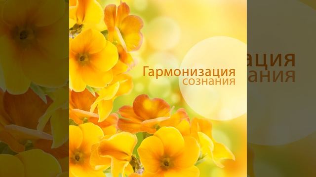 Сафари