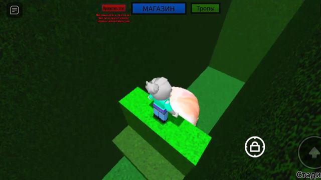1000017535.mp4
