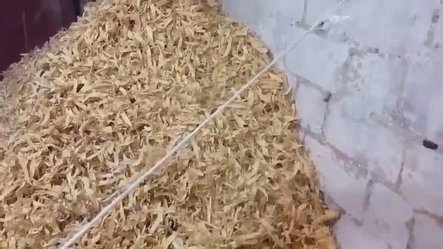 Экструдирование гороха