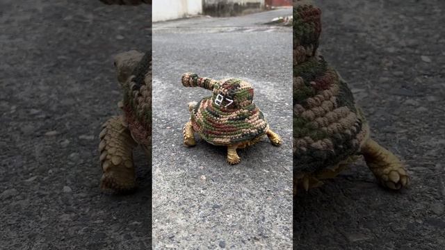 Adorable Tortoise Tank On Patrol   ViralHog