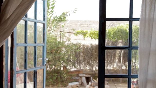 "Клещ. Как мать перевоспитывала взрослого сына".