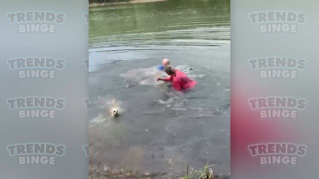 80 Incredible Moments Caught CCTV On Camera #18