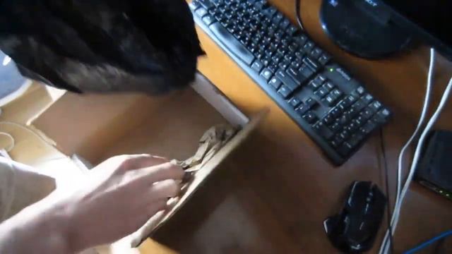 Посылка с Iphone 6.