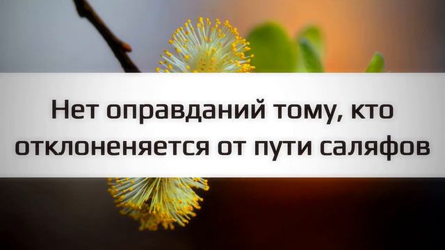 Нет оправданий тому, кто отклоняется от пути саляфов