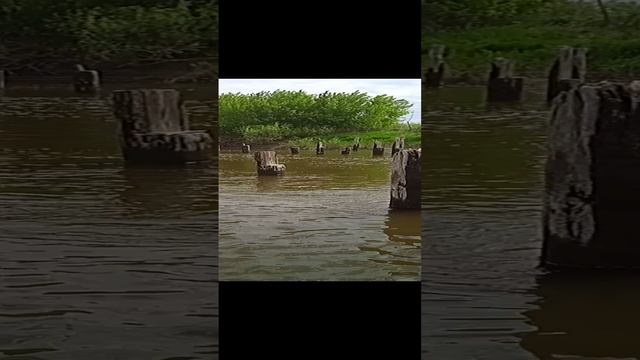 Белкакам - старый мост на Боровое