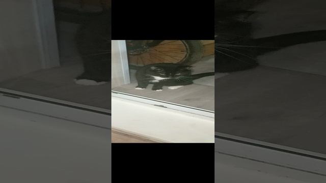 КАЖЕТСЯ УСПЕЛ 😼