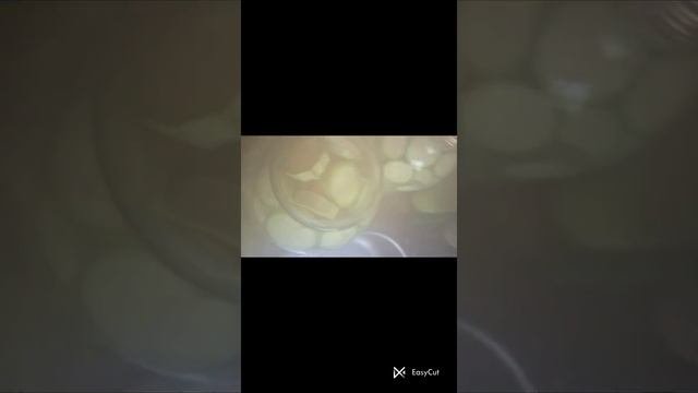 Всем хорошо знакомый рецепт хрустящих кабачков