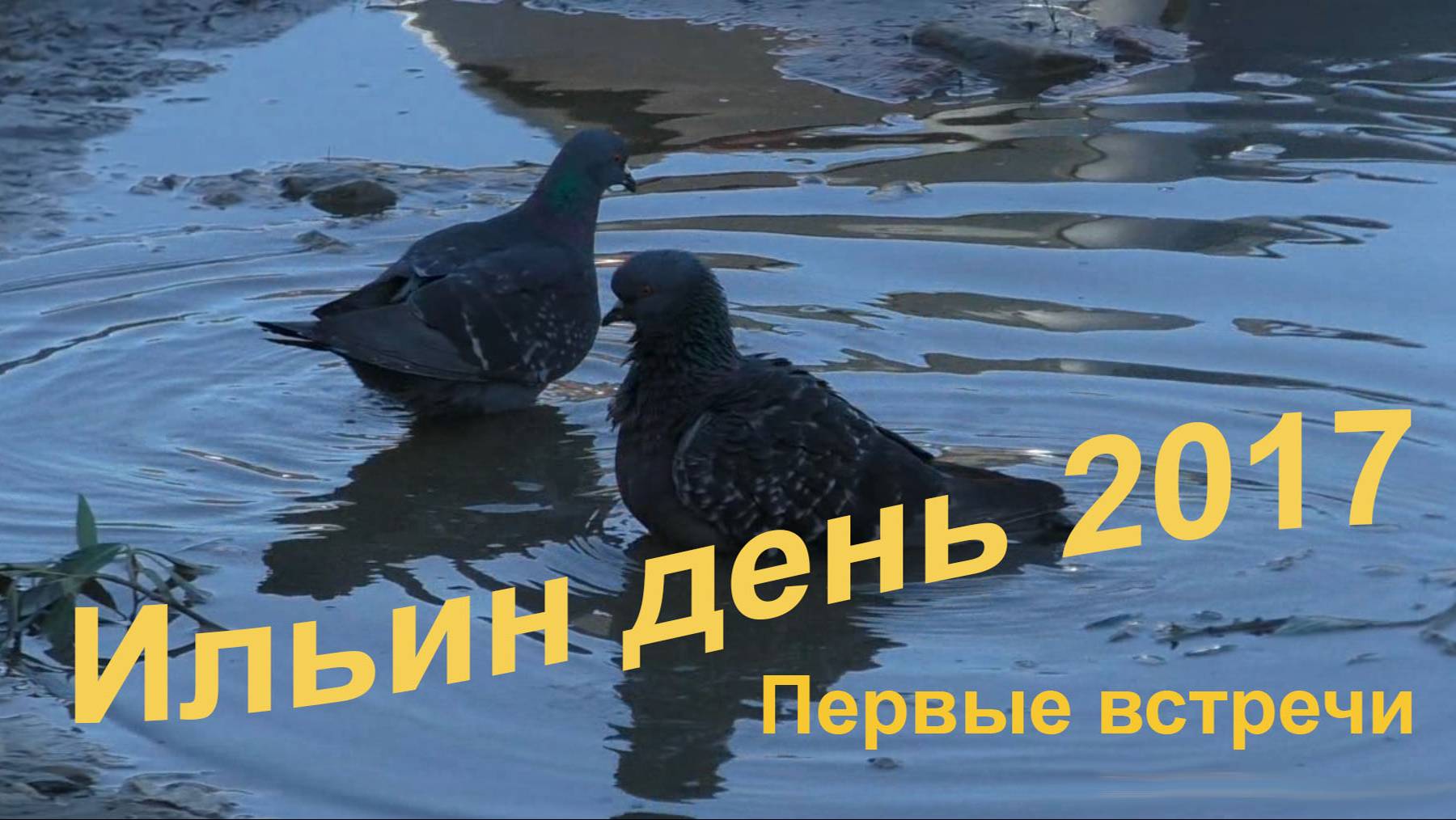 Ильин день - 2017