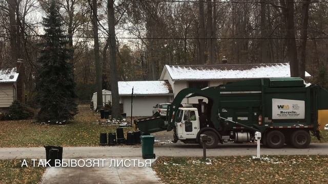 818. Как вывозят мусор в Америке! Корма для белок и птиц. Обзор комнатных цветов.