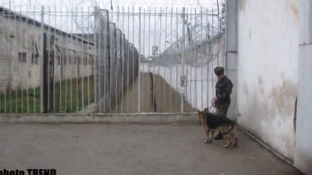 Мейхана кредит МБА деньги есть Азербайджан
