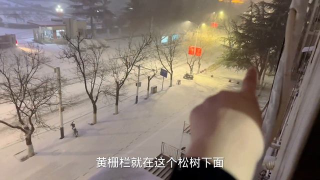 晴宝半夜不睡觉起床看大雪，全家兴奋的直哇塞，晚上犹如白天亮堂