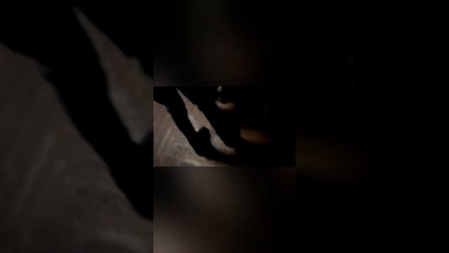 Реакция подруг на самодельньIй муляж Iphone 11 Pro max