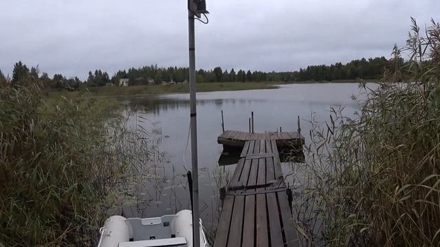 Обзор базы Селигер для вас и ближайший лес.