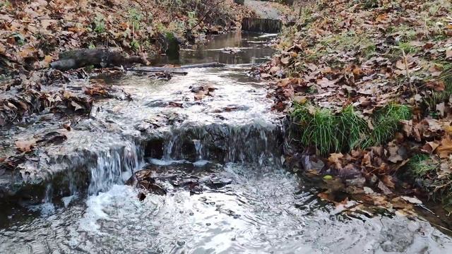 Москва, Коломенское. Звуки природы. Шум ручья. Шум воды. Звуки для сна. Звуки для релакса