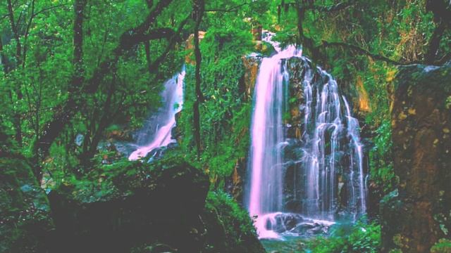Traditional Chinese Music   Bamboo Flute Music   Relaxing Meditation Healing Qi Gong Music