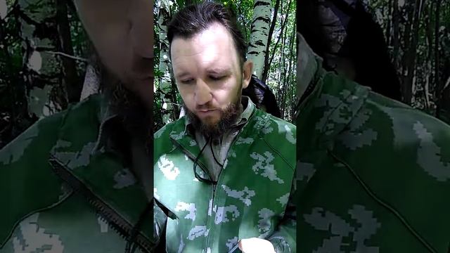 Определитель лекарственных растений.