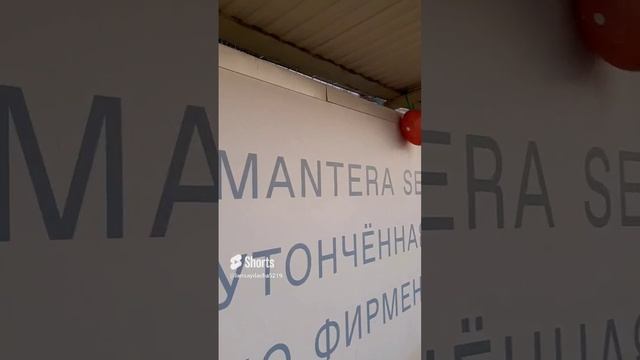 Парковка для шапочек. Рабочий день закончен..mp4
