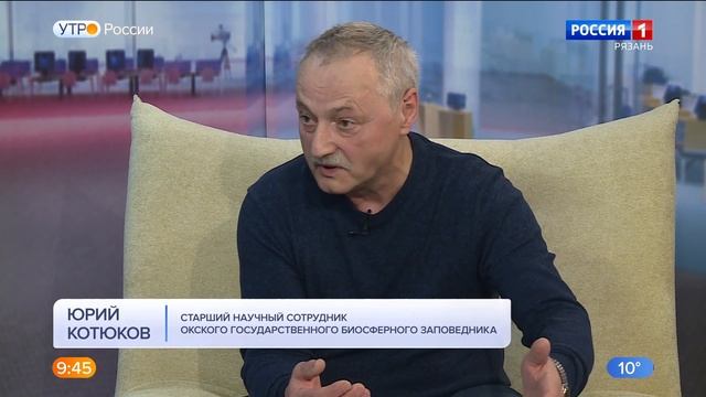 Утро России. Рязань - Перелетные птицы