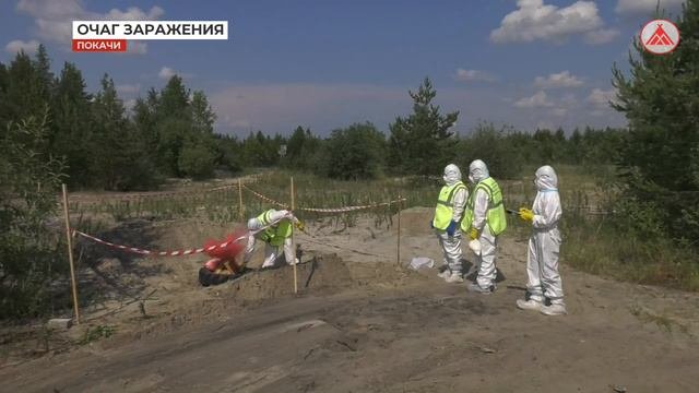 Окружные учения 
