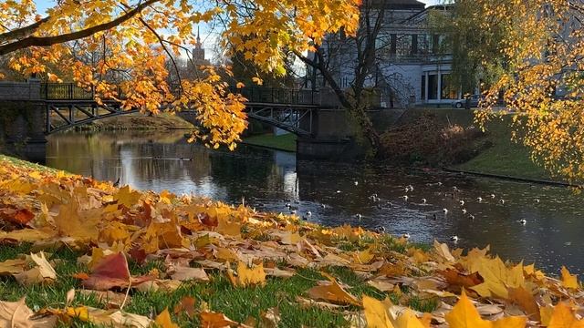 Спокойная музыка для учебы,работы,сна и концетрации