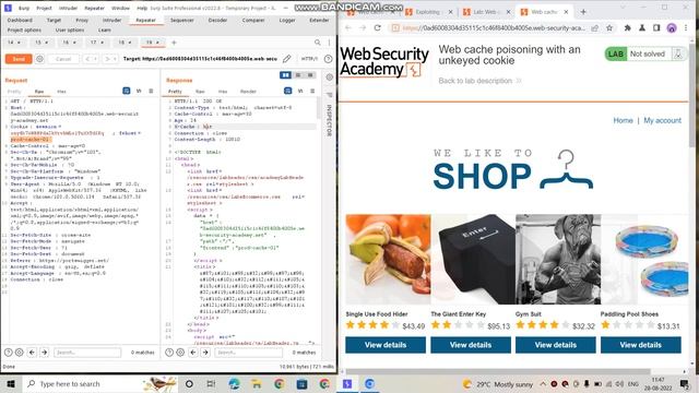 Web Cache Poisoning With An Unkeyed Cookie